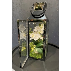 LAMPION latarenka ze storczykami i lampkami LED